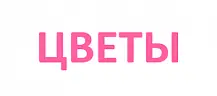 Цветы